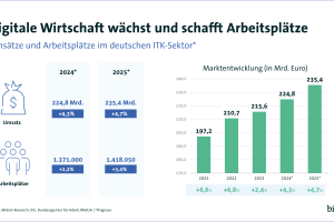 Digitalbranche wächst – aber nicht überall