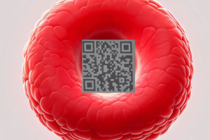 Physiker stellen weltweit kleinsten QR-Code her