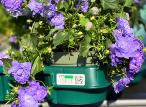 inotec group gewinnt den „Excellence in Reusable Packaging Award 2025“